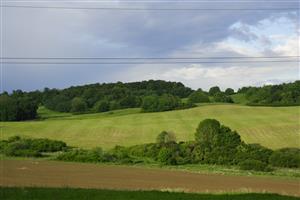 Celkový pohľad na lúku pod lesom, pred lúkou je pokosené lucernové pole